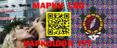 дмт Пенза