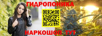 дмт Пенза