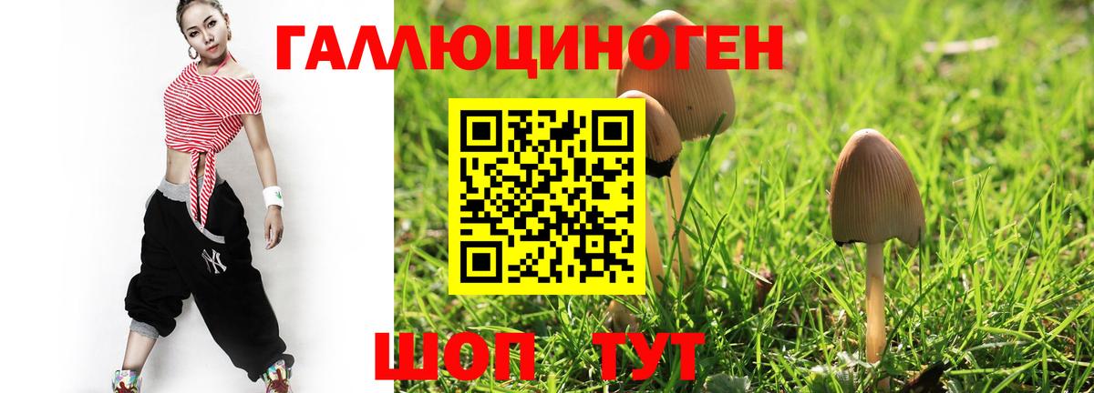 Псилоцибиновые грибы Psilocybe  Вход с VPN  Рассказово  Галлюциногенные грибы Magic Shrooms 