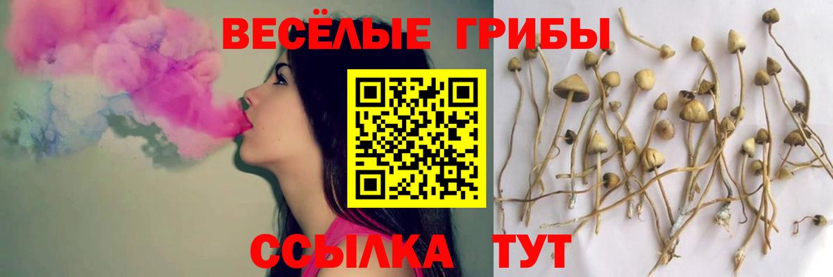 Галлюциногенные грибы Cubensis Рассказово